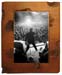 ElvisJuly2001
